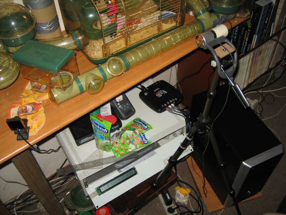 Excitement at 6:00 AM, by my hamster Lucy.