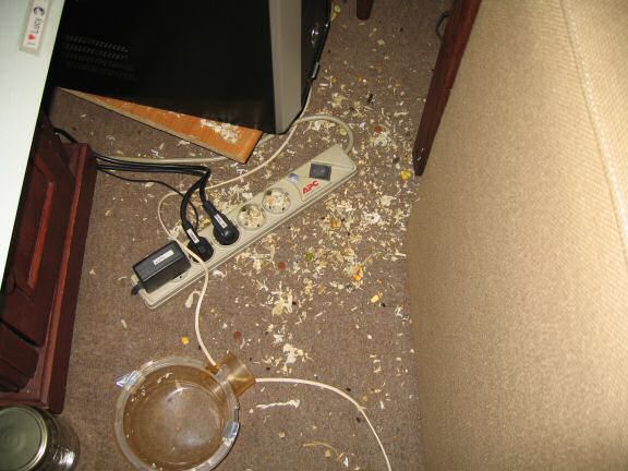 Lucy's bedroom made a drop to the floor, after I discovered Lucy's escape.