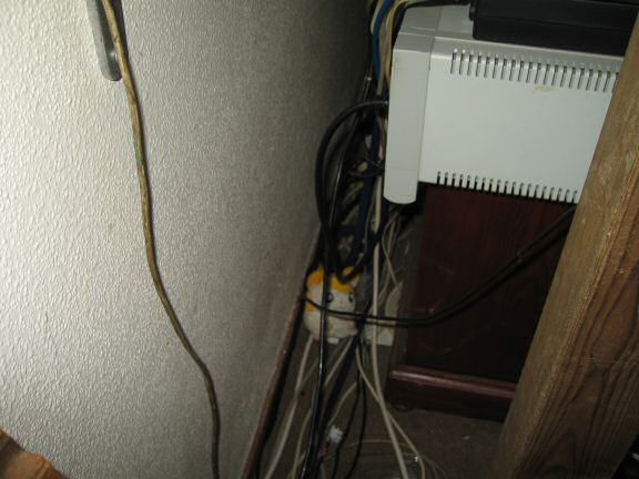 My (Houdini) hamster Lucy's third cage escape.