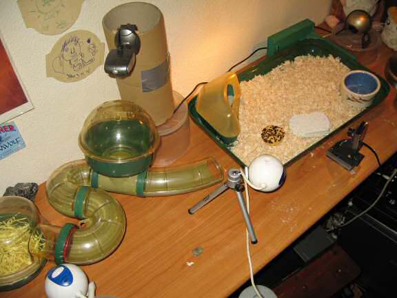 The design of Lucy's new bedroom.