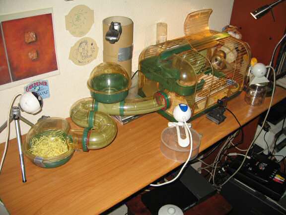 The design of Lucy's new bedroom.