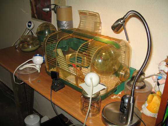 The design of Lucy's new bedroom.