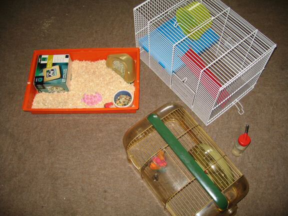 My hamster Lucy's new home.