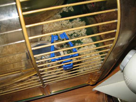 My hamster Lucy enjoying her 'Rolling Delight Treat'.