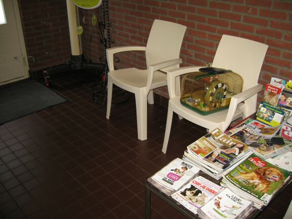 My hamster Lucy at the vet for a checkup.