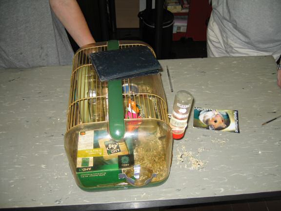 My hamster Lucy at the vet for a checkup.