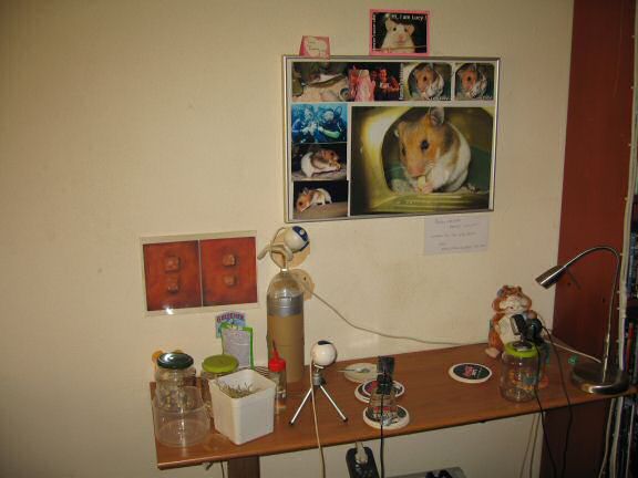 My hamster Lucy(3.0) sadly passed away ...