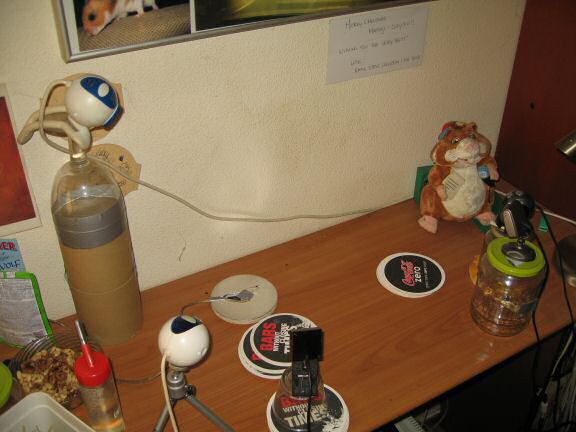 My hamster Lucy(3.0) sadly passed away ...