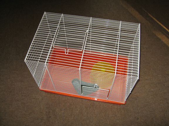 My hamster Lucy(3.0) sadly passed away ...