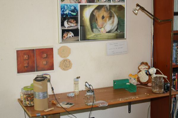 Lucy's Mansion Cleanup ...