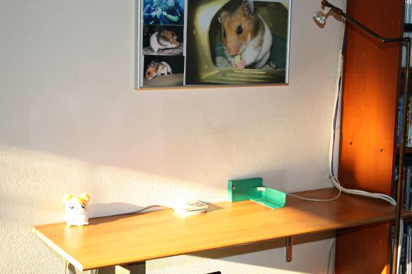 Lucy's Mansion Cleanup ...