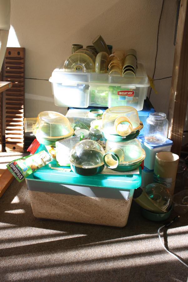 Lucy's Mansion Cleanup ...