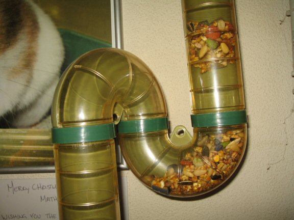 My hamster Lucy's Cultural Experience...