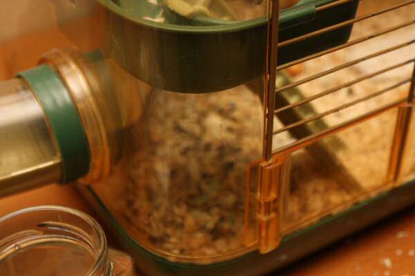 Lucy's, First Year, Anniversery Party!