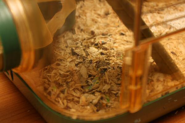 Lucy's, First Year, Anniversery Party!