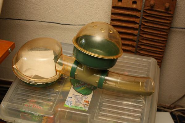 Lucy's, First Year, Anniversery Party!