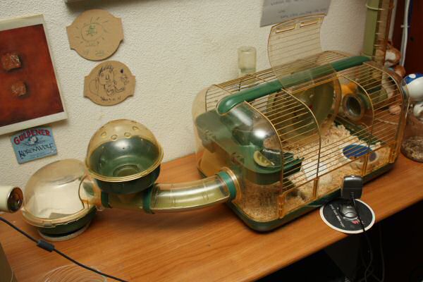 Lucy's, First Year, Anniversery Party!