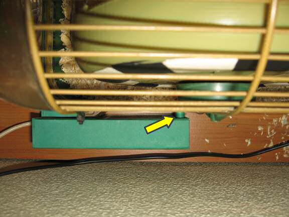 The disaster area my hamster Lucy caused in her cage.