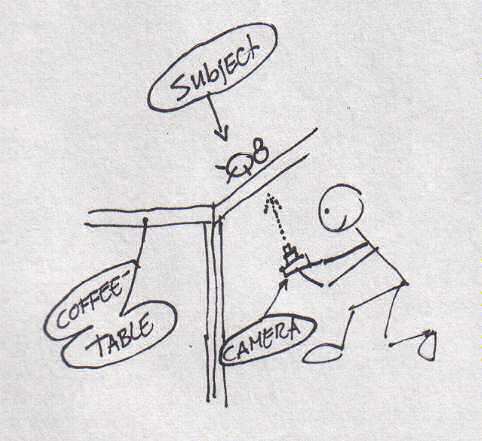 The concept of how I wanted to photograph Lucy.