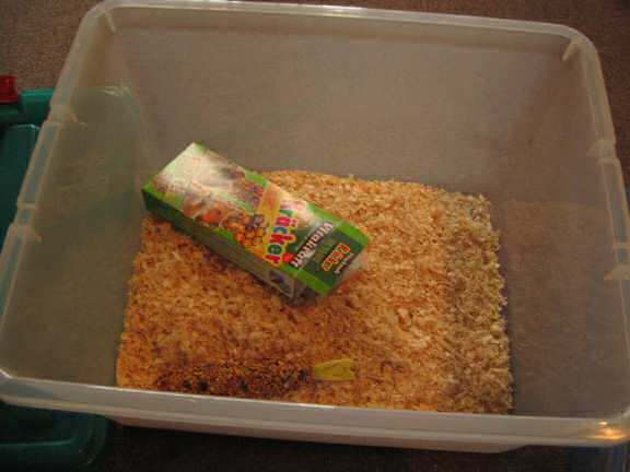 Preparing for the adoption of Lucy 3.0.