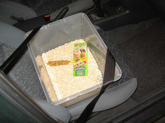 The cage all setup for Lucy 3.0.