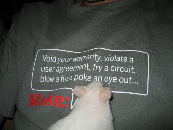 Picture of my hamster Lucy inspecting my new T-shirt.