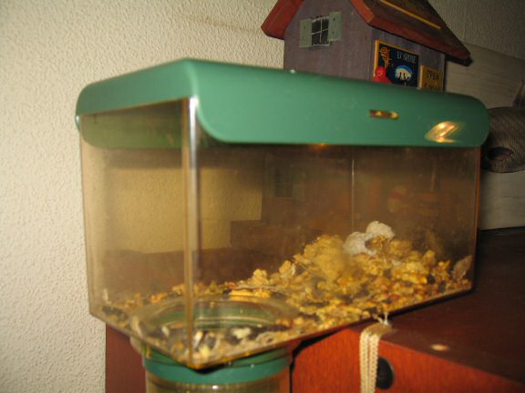 How does my hamster Lucy do it ?