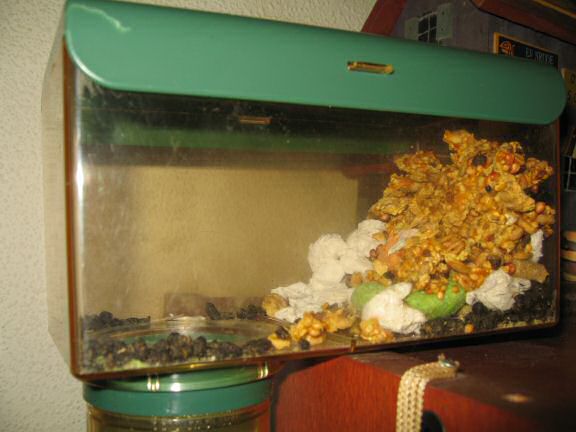 My hamster Lucy's Meditation room stuffed to tha max!