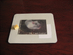 No more Mice at HamsterTracker.com.