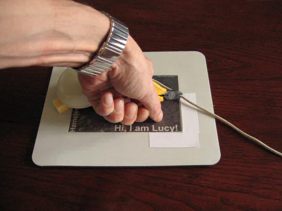 Killing a computer mouse when making the animation.