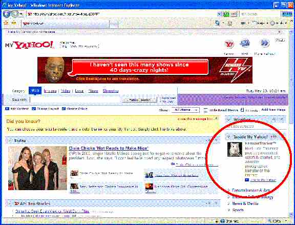 Picture of (my hamster) Lucy's starring on the MyYahoo website!