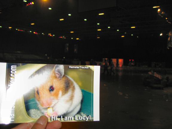 Extreme HamsterTrackin' the North Sea Jazz festival 2008.