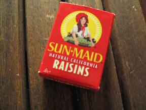 Raisens for my hamster Lucy, donated by Naomi.