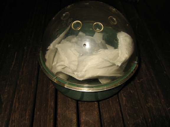 Introducing the new bedroom-clean-protocol; for my hamster Lucy.