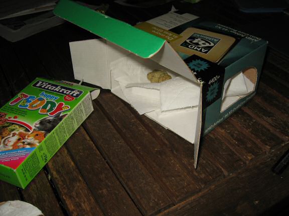 My hamster Lucy new bedroom ...