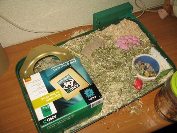 My hamster Lucy new bedroom ...