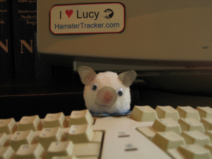 We have to wait a bit longer on Lucy (3.0).