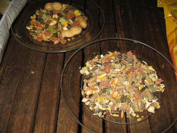 Getting stuff from the pet-store for my hamster Lucy.