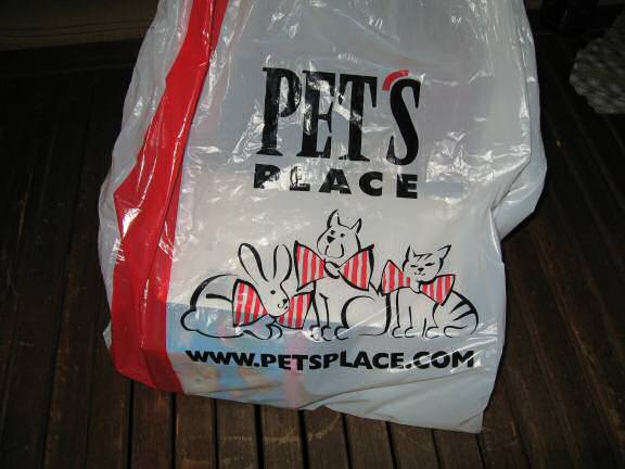 Lucy's X-mas present..