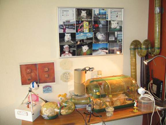 The new picture frame above my hamster Lucy's cage.