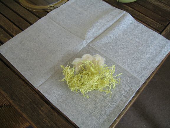 How To Make a Pillow for my hamster Lucy.
