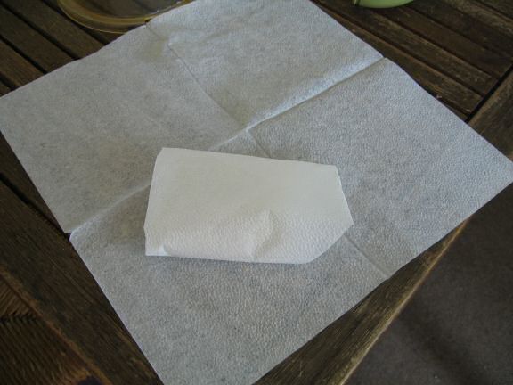 How To Make a Pillow for my hamster Lucy.