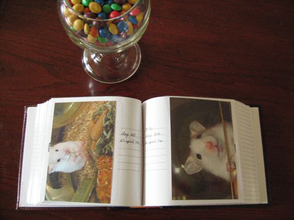 A Very, VEry, VERy, VERY special gift 