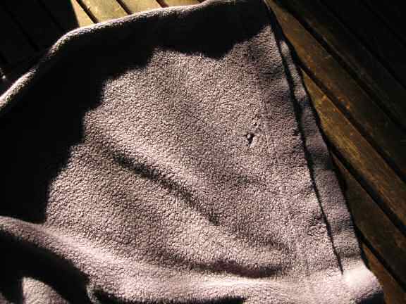 Behind the scenes at HamsterTracker by my hamster Lucy.