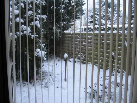 My hamster Lucy's X-mas spirit ...