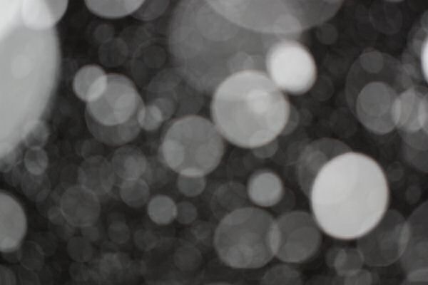 The winter weather at HamsterTracker ...