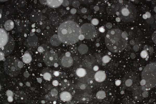 The winter weather at HamsterTracker ...