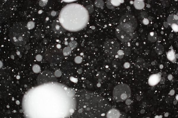 The winter weather at HamsterTracker ...