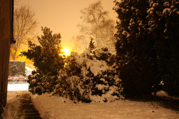 Happy Holidays, dear HamsterTracker-Dudes and -Dudettes !