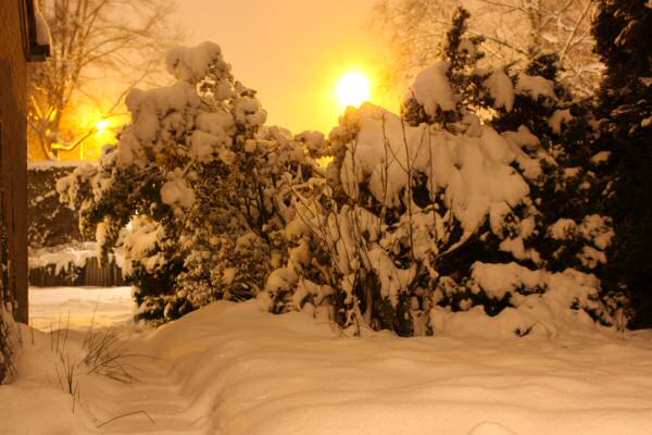 Happy Holidays, dear HamsterTracker-Dudes and -Dudettes !